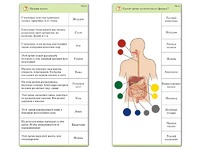 Комплект карточек (10) "Обучающий калейдоскоп. Человек" - fgospostavki.ru - Зеленогорск