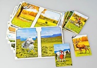 Настольно-печатная игра "Вокруг света" - fgospostavki.ru - Зеленогорск