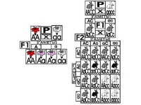 Модель-аппликация "Неполное доминирование и взаимодействие генов" (ламинированная) - fgospostavki.ru - Зеленогорск