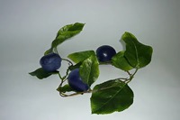 Ветка муляжей "Слива" - fgospostavki.ru - Зеленогорск