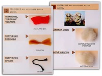 Коллекция "Шерсть" (начальная школа) - fgospostavki.ru - Зеленогорск