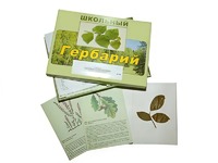 Гербарий "Дикорастущие растения" (30 видов, с иллюстрациями) - fgospostavki.ru - Зеленогорск