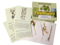 Гербарий "Систематика растений. Семейство Бобовые. Злаки" (раздаточный) - fgospostavki.ru - Зеленогорск