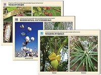 Гербарий фотографический "Сельскохозяйственные растения мира" - fgospostavki.ru - Зеленогорск