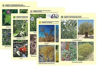 Гербарий фотографический по географии - fgospostavki.ru - Зеленогорск