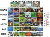 Фенологические наблюдения - fgospostavki.ru - Зеленогорск