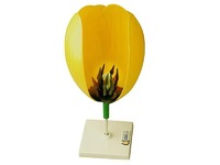 Модель цветка тюльпана - fgospostavki.ru - Зеленогорск