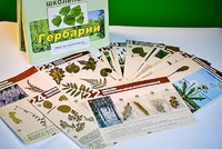 Гербарий к курсу основ общей биологии - fgospostavki.ru - Зеленогорск