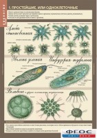 Комплект таблиц. Биология 7 класс. Животные. - fgospostavki.ru - Зеленогорск