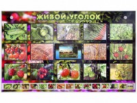 Комплект оборудования "Живой уголок" (растения) с тифлопереводом и сурдокомментариями - fgospostavki.ru - Зеленогорск