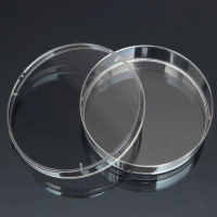 Чашка Петри стеклянная с крышкой 100х20 - fgospostavki.ru - Зеленогорск