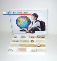 Коллекция "Древесные породы" - fgospostavki.ru - Зеленогорск