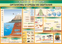 Таблица "Организмы и среды их обитания" (100х140 сантиметров, винил) - fgospostavki.ru - Зеленогорск