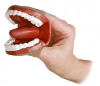 Муляж артикуляционного аппарата - fgospostavki.ru - Зеленогорск