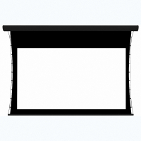 Экран настенный с электроприводом DSTPX-16918 - fgospostavki.ru - Зеленогорск