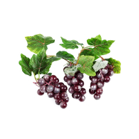 Ветка муляжей "Виноград" - fgospostavki.ru - Зеленогорск