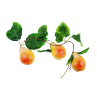 Ветка муляжей "Груши" - fgospostavki.ru - Зеленогорск