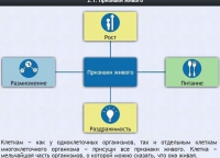 Интерактивные курсы. Биология 5 класс. Базовый - fgospostavki.ru - Зеленогорск