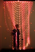 Мерцающий занавес в комплекте с источником света - fgospostavki.ru - Зеленогорск