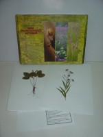 Гербарий "Лекарственные растения" (20 видов) - fgospostavki.ru - Зеленогорск