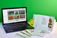 Гербарий натурально-интерактивный "Лекарственные растения" - fgospostavki.ru - Зеленогорск