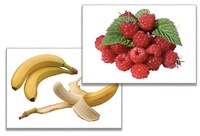 Дидактическое пособие "Фрукты, ягоды, орехи" (24 карточки) - fgospostavki.ru - Зеленогорск