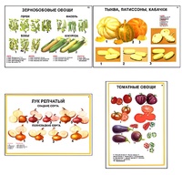 Плакаты ПРОФТЕХ "Ассортимент овощных культур" (12 пл, винил, 70х100) - fgospostavki.ru - Зеленогорск