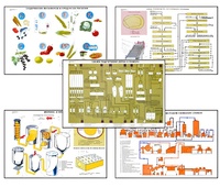 Плакаты ПРОФТЕХ "Сырье и материалы хлебопекарного производства" (20 пл, винил, 70х100) - fgospostavki.ru - Зеленогорск