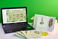 Гербарий натурально-интерактивный "Культурные растения" - fgospostavki.ru - Зеленогорск