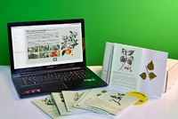 Гербарий натурально-интерактивный "Деревья и кустарники" - fgospostavki.ru - Зеленогорск