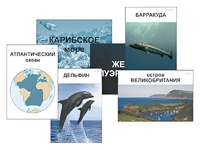 Модель-аппликация "Океаны. Знакомство" (ламинированная) - fgospostavki.ru - Зеленогорск