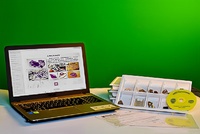 Коллекция натурально-интерактивная "Кварц в природе" - fgospostavki.ru - Зеленогорск