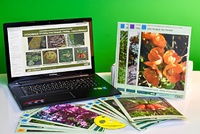 Гербарий натурально-интерактивный "Основные группы растений. Грибы. Лишайники" - fgospostavki.ru - Зеленогорск