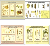 Плакаты ПРОФТЕХ "Вредители и болезни с/х культур и меры борьбы с ними" (11 пл, винил, 70х100) - fgospostavki.ru - Зеленогорск