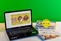 Коллекция натурально-интерактивная "Раковины моллюсков" - fgospostavki.ru - Зеленогорск