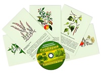 Интерактивный наглядный комплекс "Гербарий "Для начальной школы" - fgospostavki.ru - Зеленогорск