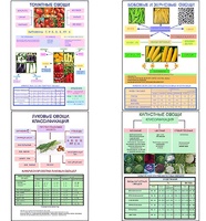 Плакаты ПРОФТЕХ "Классификация овощей" (11 пл, винил, 70х100) - fgospostavki.ru - Зеленогорск
