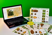 Коллекция натурально-интерактивная "Шишки, плоды, семена деревьев и кустарников" - fgospostavki.ru - Зеленогорск