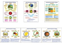 Плакаты ПРОФТЕХ "Плоды" (6 пл, винил, 70х100) - fgospostavki.ru - Зеленогорск