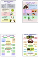 Плакаты ПРОФТЕХ "Классификация овощей и переработка" (8 пл, винил, 70х100) - fgospostavki.ru - Зеленогорск