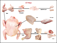 Таблица "Правила разделки мясных туш. Курица" (100х140 сантиметров, винил) - fgospostavki.ru - Зеленогорск