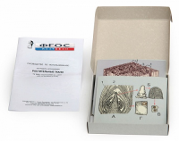 Модель-аппликация "Растительные ткани" (набор из 15 карт) - fgospostavki.ru - Зеленогорск