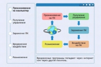 Интерактивные курсы. Информатика 10 класс . Базовый. - fgospostavki.ru - Зеленогорск