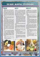 Стенд "Белки. Жиры. Углеводы" - fgospostavki.ru - Зеленогорск