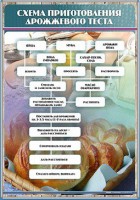 Стенд "Схема приготовления дрожжевого теста" - fgospostavki.ru - Зеленогорск