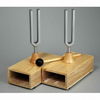 Камертоны на резонансных ящиках с молоточком - fgospostavki.ru - Зеленогорск