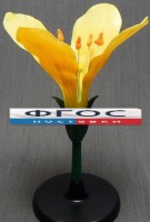 Модель "Цветок капусты" - fgospostavki.ru - Зеленогорск