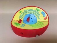 Модель растительной клетки - fgospostavki.ru - Зеленогорск