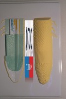 Модель барельефная "Клеточное строение корня" - fgospostavki.ru - Зеленогорск