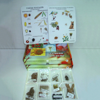 Коллекция "Семена и плоды с раздаточным материалом" - fgospostavki.ru - Зеленогорск